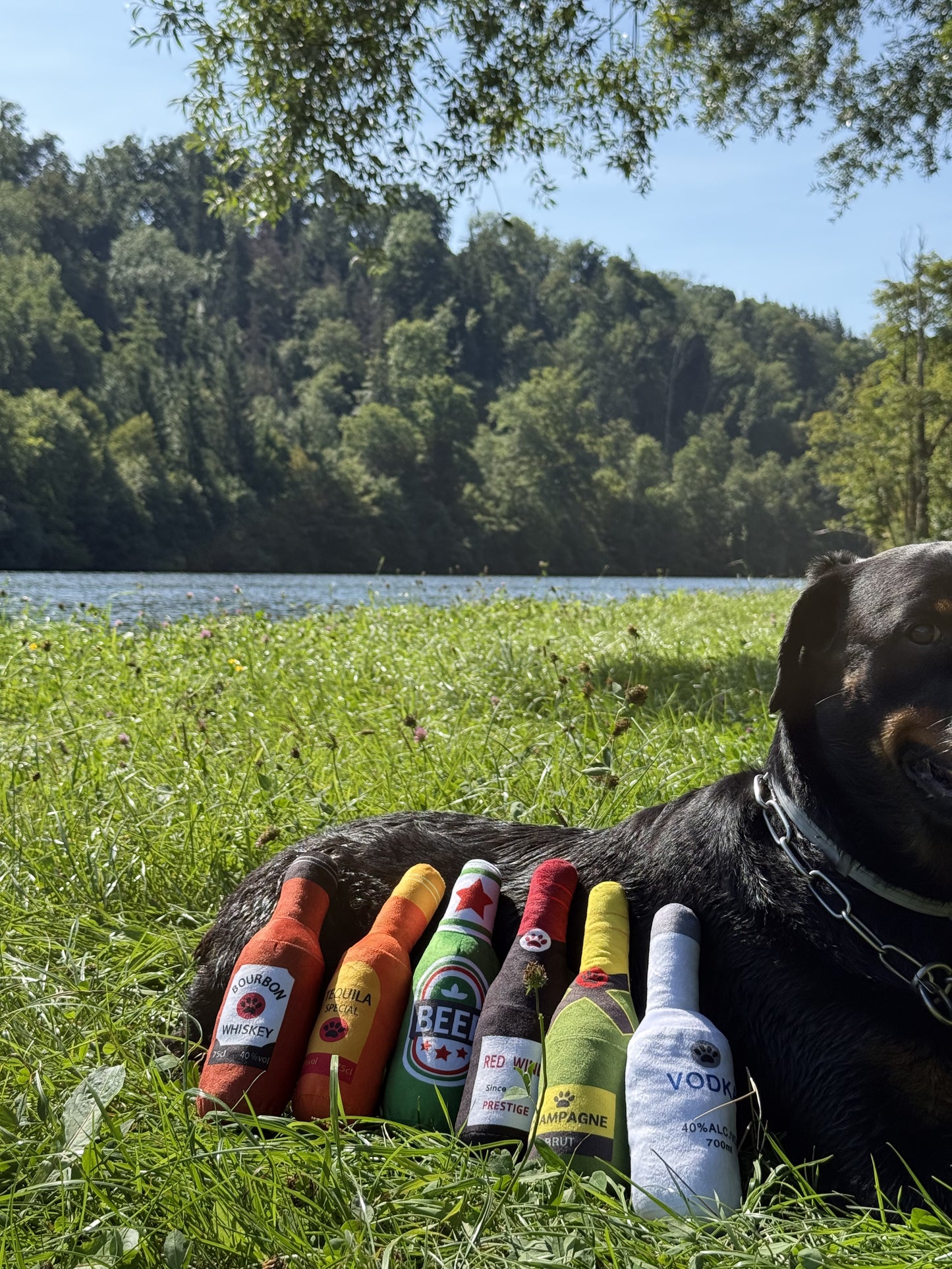 Best Dog Booze 🍺
